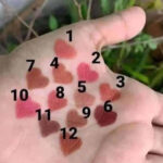 𝐅𝐥𝐨𝐫𝐦𝐚𝐫 𝐌𝐚𝐭𝐭𝐞 𝐏𝐞𝐫𝐟𝐞𝐜𝐭 𝐋𝐢𝐩 𝐋𝐢𝐧𝐞𝐫 𝐒𝐞𝐭 - Image 6